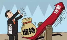 广州公司注册变更股东流程